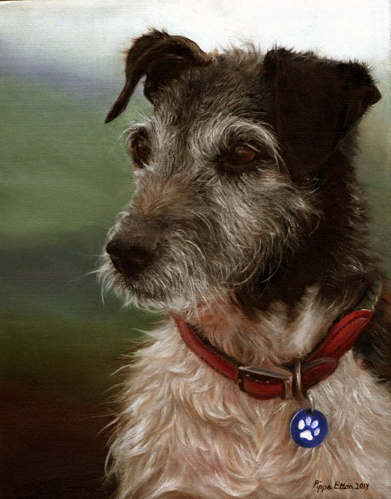 Terrier dog portrait oil painting by UK pet artist Pippa Elton