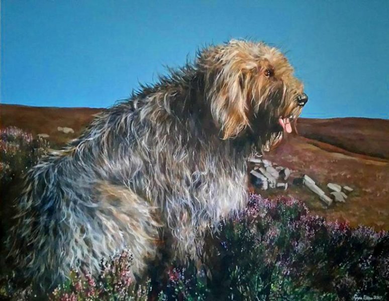 otter hound dog portrait oil painting by UK pet artist Pippa Elton