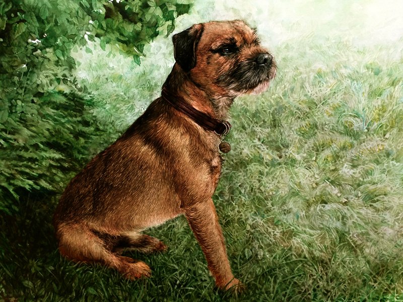 Portrait of a terrier dog in watercolour by UK pet artist Pippa Elton