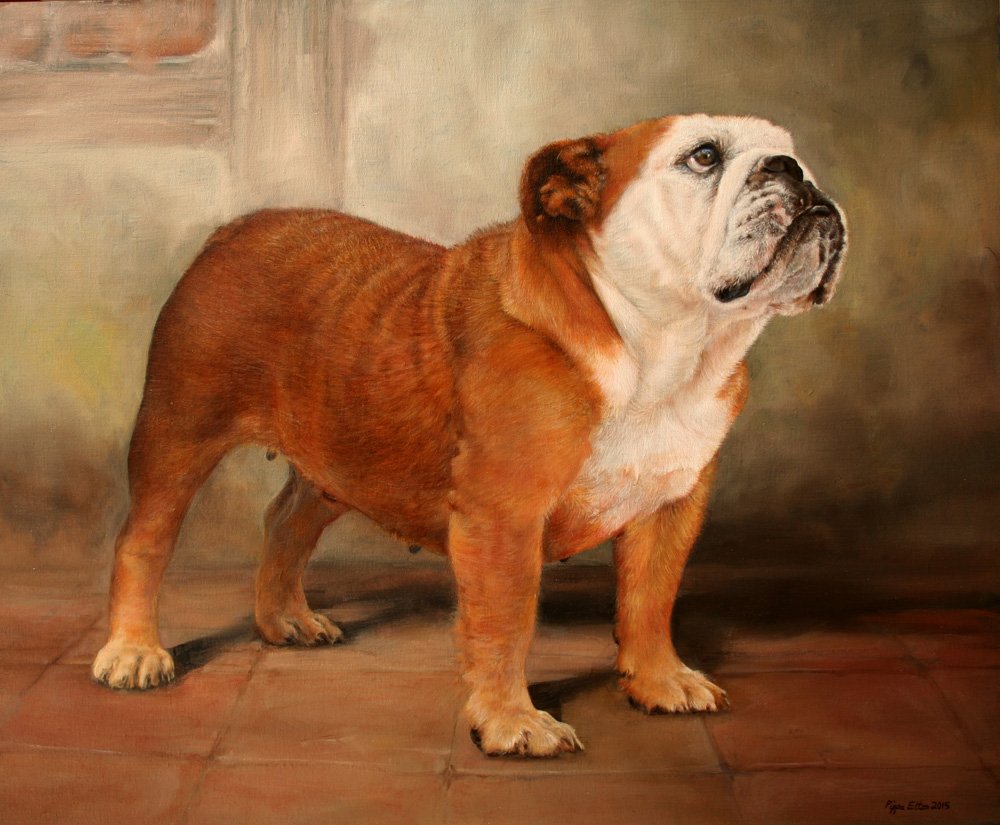 Bulldog dog portrait in oils by UK pet artist Pippa Elton