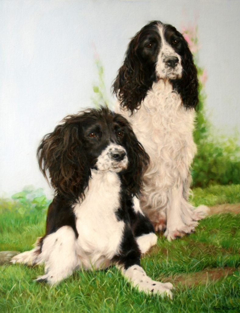 Spaniel dog portrait in oils by UK pet artist Pippa Elton