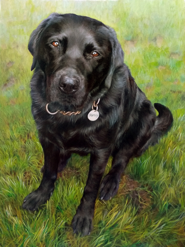 Portrait of a black Labrador dog painted in oils by UK pet portrait artist Pippa Elton