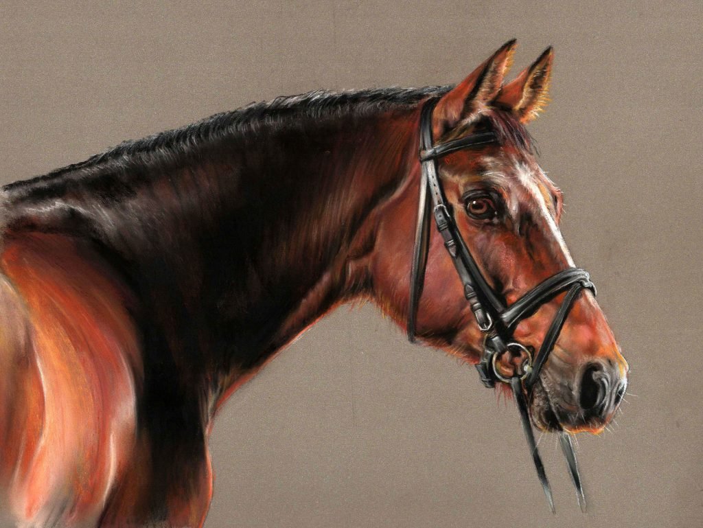 Bay horse portrait in pastel by UK pet artist Pippa Elton