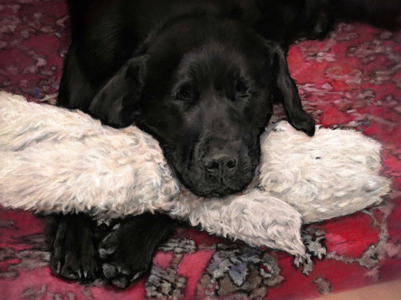 portrait of a black labrador dog in pastel