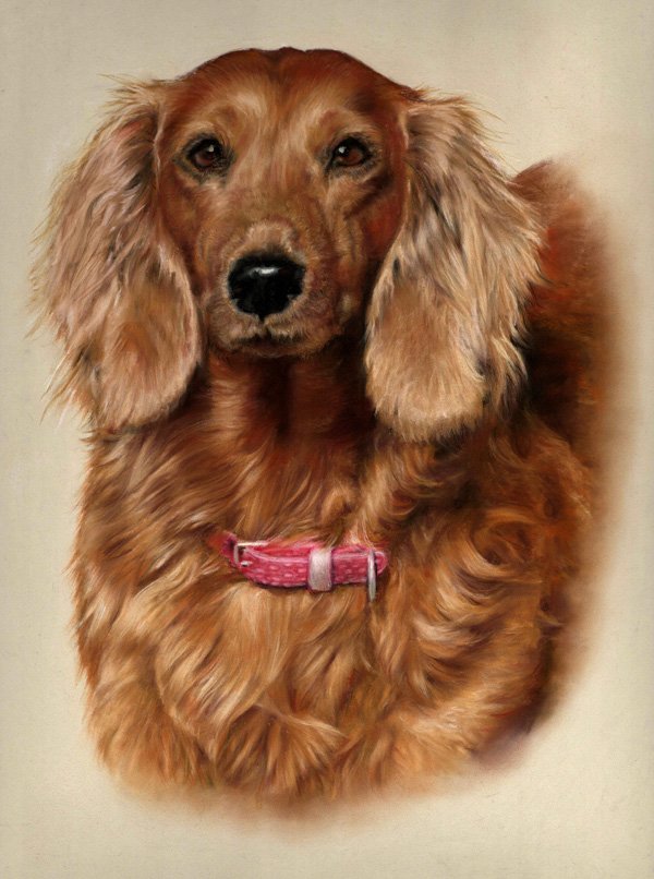 Portrait of a spaniel dog in pastel